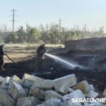 Бездомные собаки погибли на пожаре в приюте в Гагаринском районе Бездомные собаки погибли на пожаре в приюте в Гагаринском районе