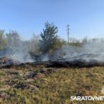 Бездомные собаки погибли на пожаре в приюте в Гагаринском районе Бездомные собаки погибли на пожаре в приюте в Гагаринском районе