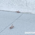 На саратовских улицах появляется все больше кузнечиков На саратовских улицах появляется все больше кузнечиков