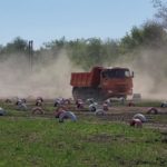 За рулём — только асы