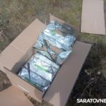 Диких животных Саратовской области провакцинировали от бешенства Диких животных Саратовской области провакцинировали от бешенства