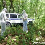 Диких животных Саратовской области провакцинировали от бешенства Диких животных Саратовской области провакцинировали от бешенства