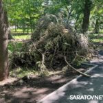 Николай Панков: Заказчику нужно объяснить людям проектные решения по реконструкции Липок