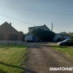 Волжский проспект в Энгельсе атаковали агрессивные бездомные собаки Волжский проспект в Энгельсе атаковали агрессивные бездомные собаки