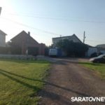 Волжский проспект в Энгельсе атаковали агрессивные бездомные собаки Волжский проспект в Энгельсе атаковали агрессивные бездомные собаки