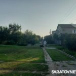 Волжский проспект в Энгельсе атаковали агрессивные бездомные собаки Волжский проспект в Энгельсе атаковали агрессивные бездомные собаки