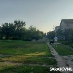 Волжский проспект в Энгельсе атаковали агрессивные бездомные собаки Волжский проспект в Энгельсе атаковали агрессивные бездомные собаки