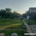 Волжский проспект в Энгельсе атаковали агрессивные бездомные собаки Волжский проспект в Энгельсе атаковали агрессивные бездомные собаки