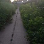 Саратовцы просят благоустроить тротуар у моста на улице Беговой Саратовцы просят благоустроить тротуар у моста на улице Беговой
