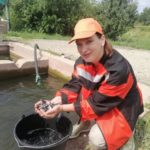 «Т Плюс» выпустила в Волгу более 58 тысяч мальков осетровых