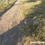 В Энгельсе разрушается аллея между двумя микрорайонами В Энгельсе разрушается аллея между двумя микрорайонами