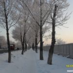 В Энгельсе разрушается аллея между двумя микрорайонами В Энгельсе разрушается аллея между двумя микрорайонами
