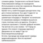 Вандалы разгромили парк «Патриот» в Энгельсе