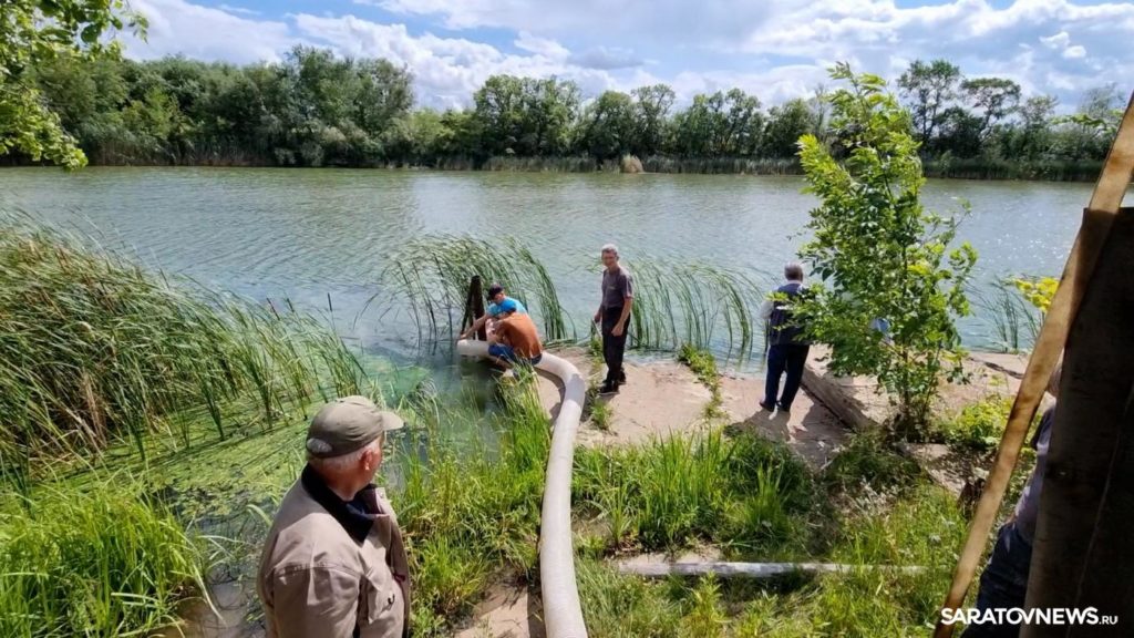 Стерлядь отправилась в свободное плавание Стерлядь отправилась в свободное плавание