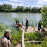 Стерлядь отправилась в свободное плавание Стерлядь отправилась в свободное плавание