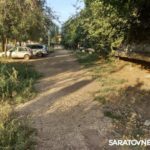 Жители энгельсской многоэтажки жалуются на «джунгли» вокруг дома