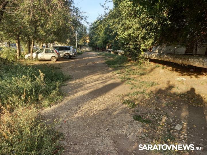 Жители энгельсской многоэтажки жалуются на «джунгли» вокруг дома Жители энгельсской многоэтажки жалуются на «джунгли» вокруг дома