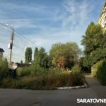 Жители энгельсской многоэтажки жалуются на «джунгли» вокруг дома