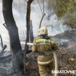 Рядом с социально-экономическим институтом в Саратове полыхал дом Рядом с социально-экономическим институтом в Саратове полыхал дом