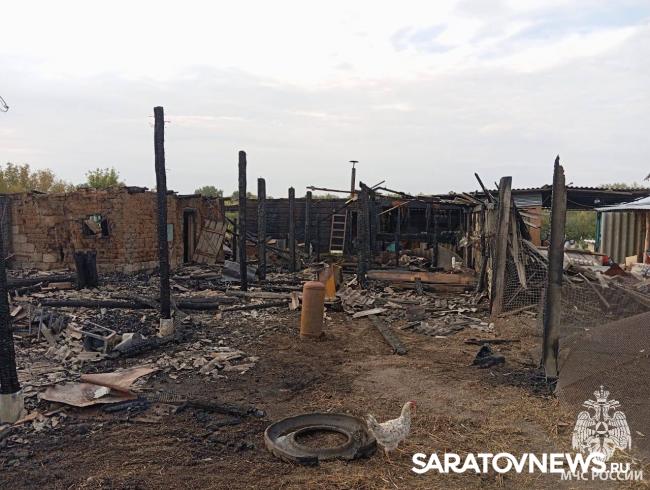 На пожаре в Пугачевском районе удалось спасти двух телят На пожаре в Пугачевском районе удалось спасти двух телят