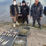 Инспектора изъяли у саратовских браконьеров 2 км сетей Инспектора изъяли у саратовских браконьеров 2 км сетей