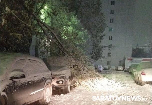Апокалипсис по-саратовски: снегопад, заторы на дорогах, упавшие деревья Апокалипсис по-саратовски: снегопад, заторы на дорогах, упавшие деревья