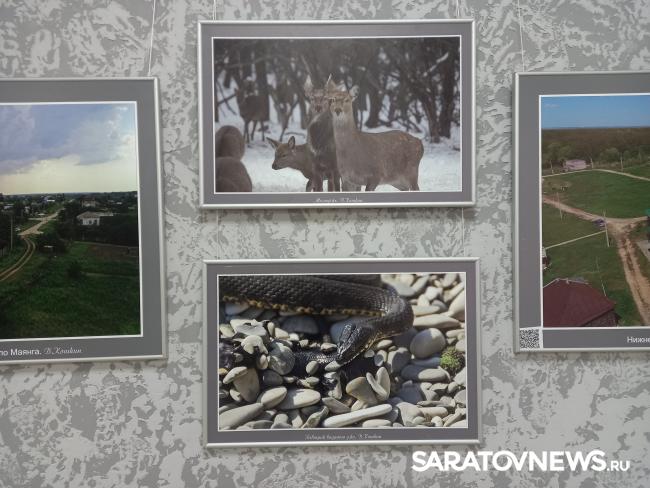 В Энгельсе открылась фотовыставка «Иргизы» В Энгельсе открылась фотовыставка «Иргизы»