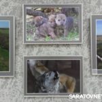 В Энгельсе открылась фотовыставка «Иргизы» В Энгельсе открылась фотовыставка «Иргизы»