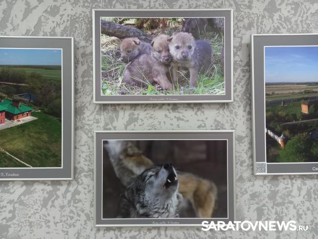 В Энгельсе открылась фотовыставка «Иргизы» В Энгельсе открылась фотовыставка «Иргизы»