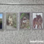 В Энгельсе открылась фотовыставка «Иргизы» В Энгельсе открылась фотовыставка «Иргизы»