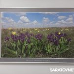 В Энгельсе открылась фотовыставка «Иргизы» В Энгельсе открылась фотовыставка «Иргизы»