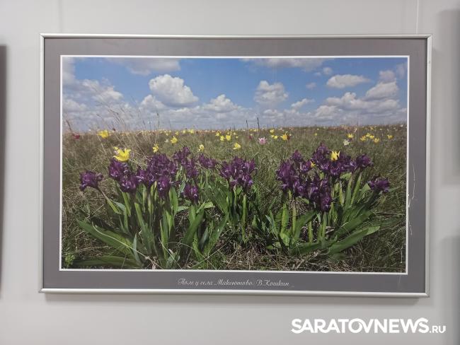 В Энгельсе открылась фотовыставка «Иргизы» В Энгельсе открылась фотовыставка «Иргизы»