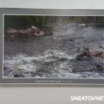 В Энгельсе открылась фотовыставка «Иргизы» В Энгельсе открылась фотовыставка «Иргизы»