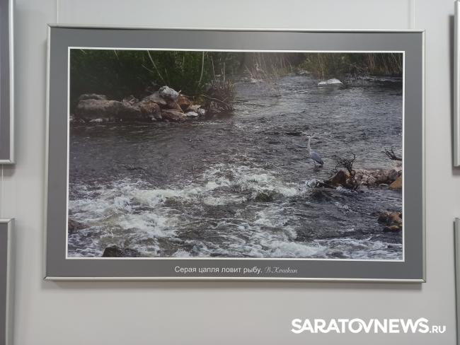 В Энгельсе открылась фотовыставка «Иргизы» В Энгельсе открылась фотовыставка «Иргизы»