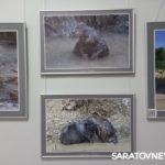 В Энгельсе открылась фотовыставка «Иргизы» В Энгельсе открылась фотовыставка «Иргизы»