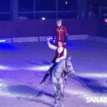 Саратовцам показали мастерство верховой езды
