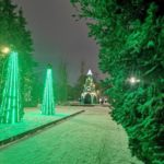 В горпарке Саратова установили новогоднее чудо В горпарке Саратова установили новогоднее чудо