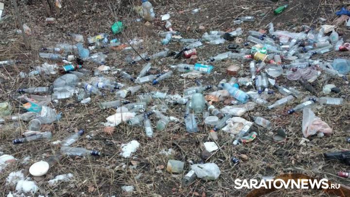 Заросли мусора и деревьев: жители возмущены состоянием Лётного городка Энгельса Заросли мусора и деревьев: жители возмущены состоянием Лётного городка Энгельса