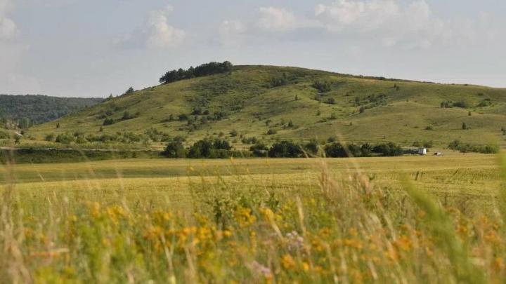 Две локации в Саратовской области стали курортами Две локации в Саратовской области стали курортами