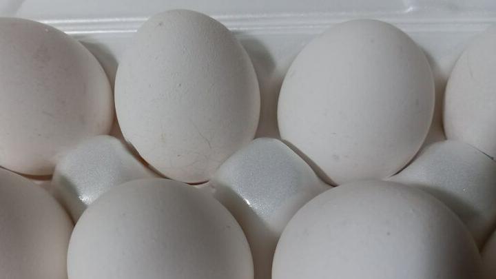 Россельхознадзор запретит ввоз в Россию животноводческой продукции из Евросоюза Россельхознадзор запретит ввоз в Россию животноводческой продукции из Евросоюза