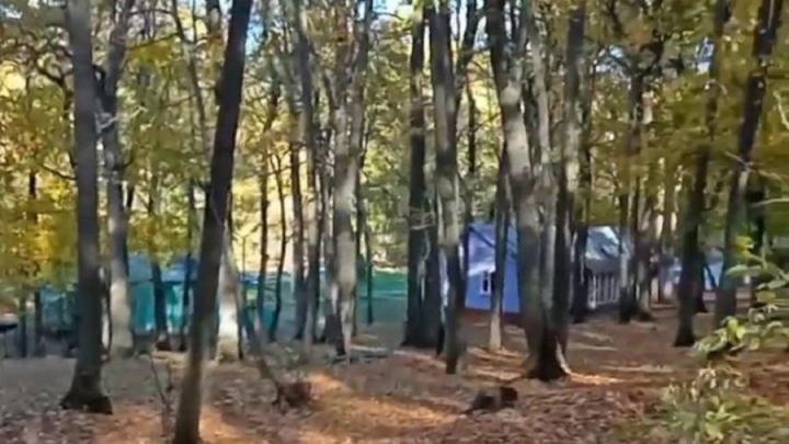 Саратовским многодетным семьям расширят меру поддержки Саратовским многодетным семьям расширят меру поддержки