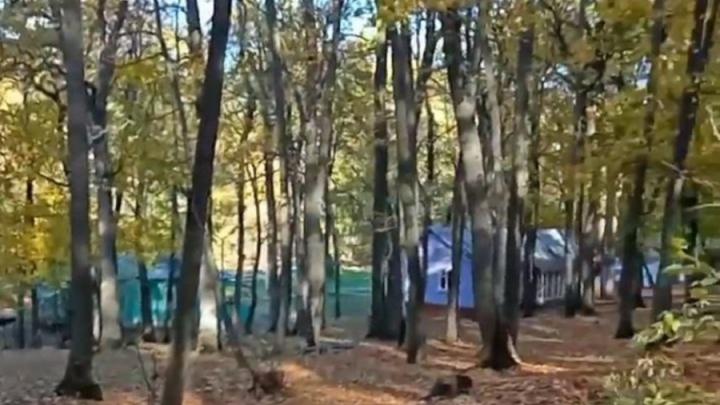 Саратовские многодетные семьи получат компенсацию за путевки в детские палаточные лагеря Саратовские многодетные семьи получат компенсацию за путевки в детские палаточные лагеря
