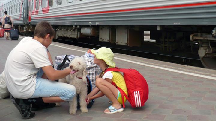 За год на Приволжской железной дороге было перевезено свыше 7,5 тысяч домашних животных За год на Приволжской железной дороге было перевезено свыше 7,5 тысяч домашних животных