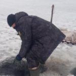Сотрудники Росрыболовства конфисковали у саратовских браконьеров 320 метров сетей Сотрудники Росрыболовства конфисковали у саратовских браконьеров 320 метров сетей