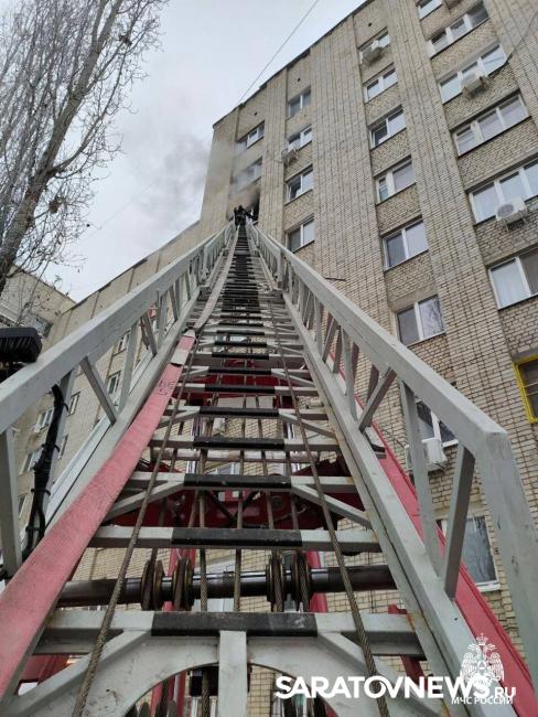 В Саратове пожарные спасли двух котов и пять крыс В Саратове пожарные спасли двух котов и пять крыс