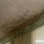 Трещины в палец и дыры в стенах: как учатся саратовские школьники в аварийной школе № 83? Трещины в палец и дыры в стенах: как учатся саратовские школьники в аварийной школе № 83?