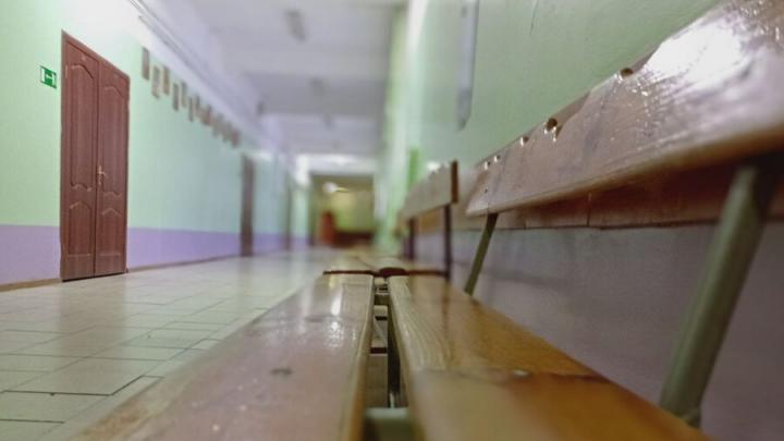 В Саратовской области растет число закрытых по ОРВИ школ В Саратовской области растет число закрытых по ОРВИ школ