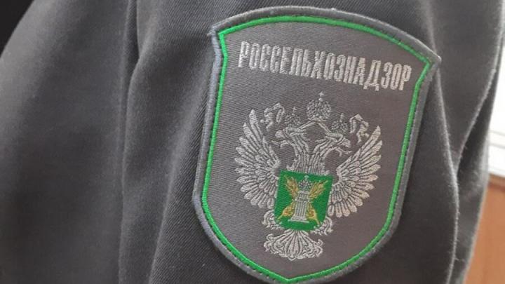 В этом году Россельхознадзор не допустил ввоз в страну 19 тонн сгущенного молока без документов В этом году Россельхознадзор не допустил ввоз в страну 19 тонн сгущенного молока без документов