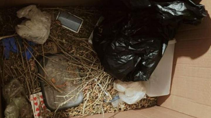 В Саратове задержан мужчина «с травкой» В Саратове задержан мужчина «с травкой»