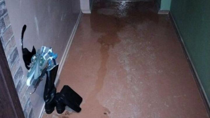 В Энгельсе трем управляющим компаниям вынесли предостережение В Энгельсе трем управляющим компаниям вынесли предостережение